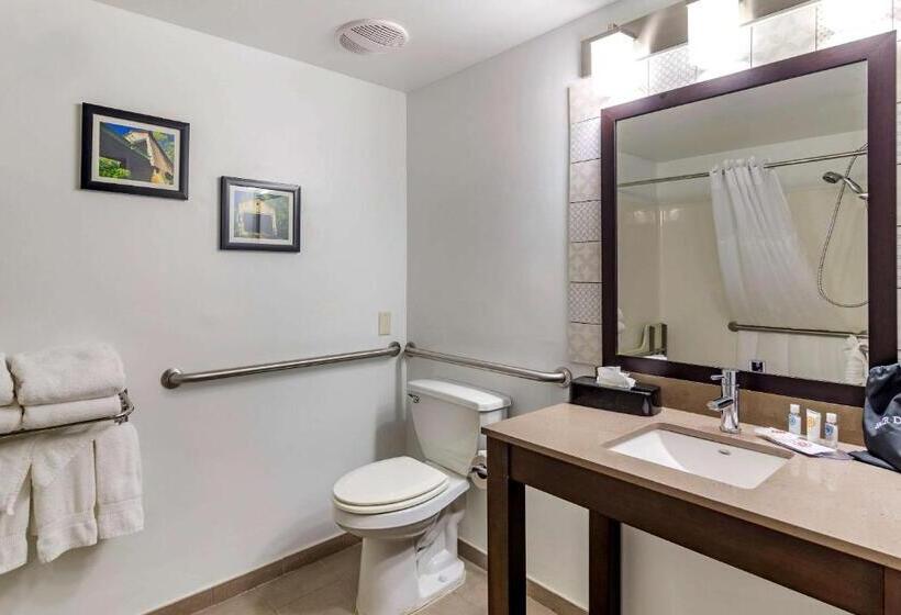 장애인을 위한 킹사이즈 침대 스탠다드 룸, Comfort Inn & Suites Cartersville   Emerson Lake Point