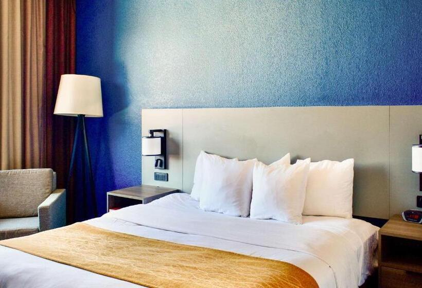 장애인을 위한 스위트, Comfort Inn & Suites Cartersville   Emerson Lake Point