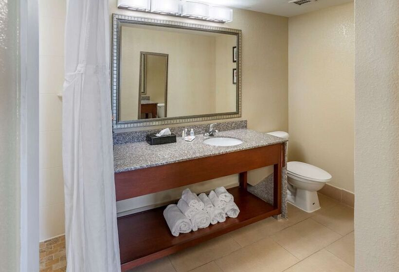Люкс, Comfort Inn & Suites