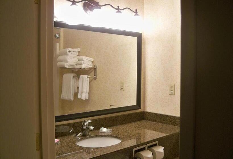Quarto Estandar Cama King, Country Inn & Suites By Radisson, Billings, Mt