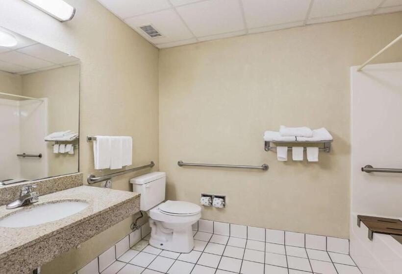 장애인을 위한 킹사이즈 침대 스탠다드 룸, Econo Lodge Inn And Suites