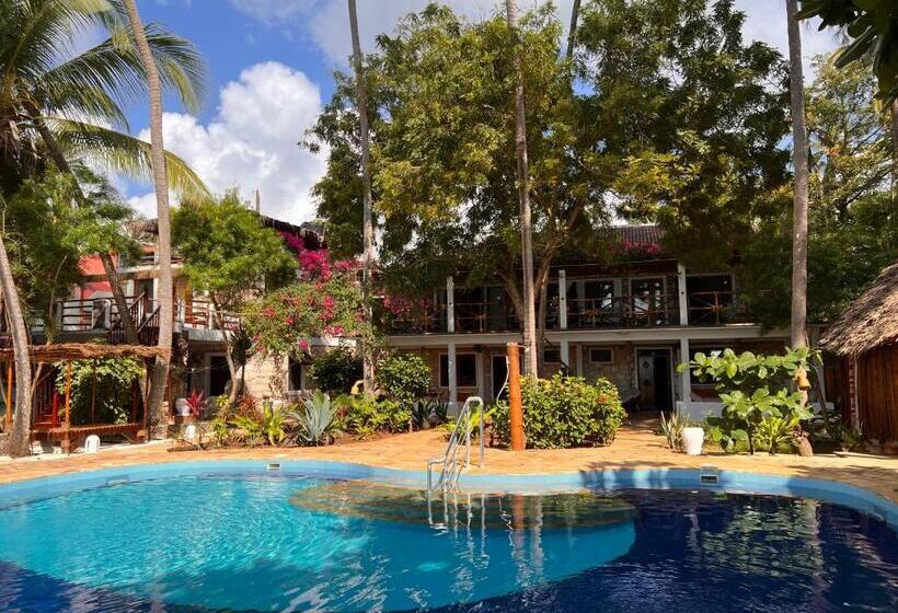 اتاق خانوادگی, Stone Resort