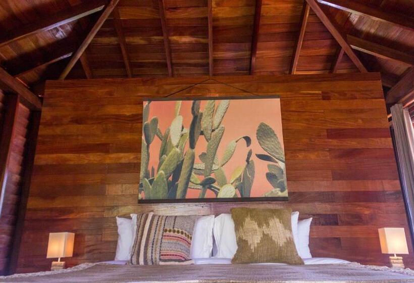 디럭스 스위트 킹 침대, Catalina S Hideaway