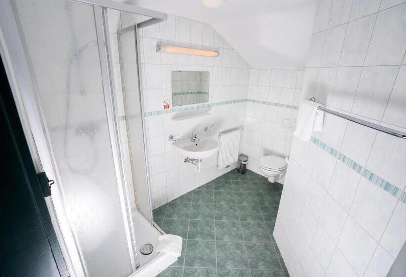 اتاق استاندارد سه تخته با سرویس بهداشتی مشترک, Das Cityhouse