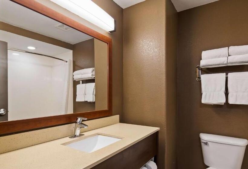 Номер Стандарт, Best Western Northwest Corpus Christi Inn & Suites