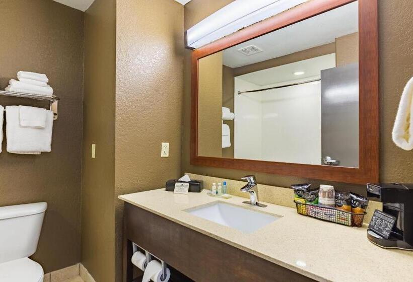 Номер Executive Кровать Кинг, Best Western Northwest Corpus Christi Inn & Suites