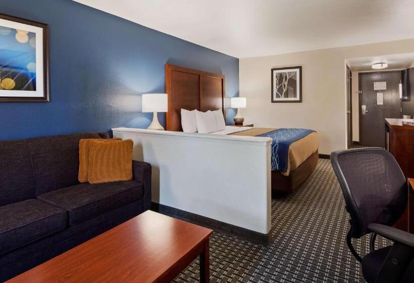 Номер Executive Кровать Кинг, Best Western Northwest Corpus Christi Inn & Suites