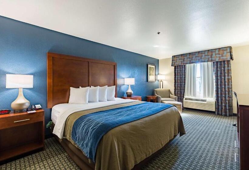 اتاق استاندارد با تخت بزرگ, Best Western Northwest Corpus Christi Inn & Suites