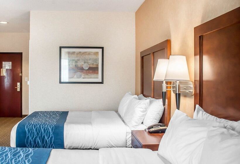 ２ダブルベッドのスタンダードルーム, Comfort Inn & Suites
