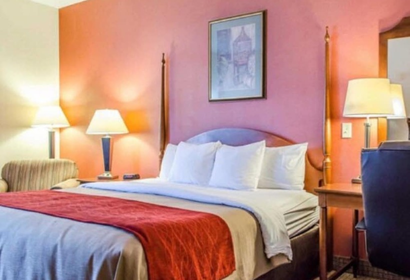 标准间, Comfort Inn & Suites