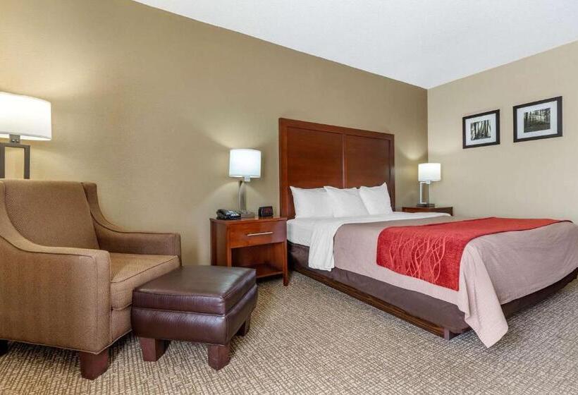 带大床的标准间, Comfort Inn Blythewood  North Columbia