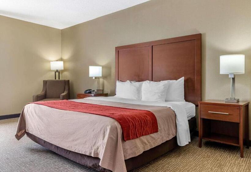 스탠다드 룸 킹사이즈 침대, Comfort Inn Blythewood  North Columbia