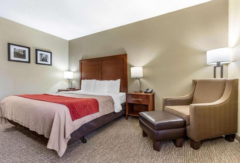 스탠다드 룸 킹사이즈 침대, Comfort Inn Blythewood  North Columbia