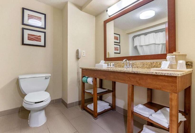 Quarto Estandar, Comfort Inn Blythewood  North Columbia