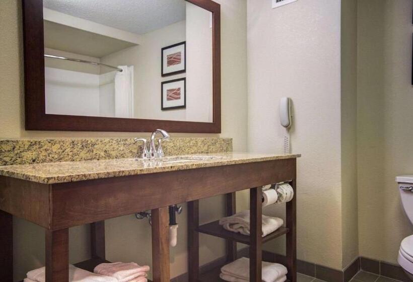 Quarto Estandar, Comfort Inn Blythewood  North Columbia
