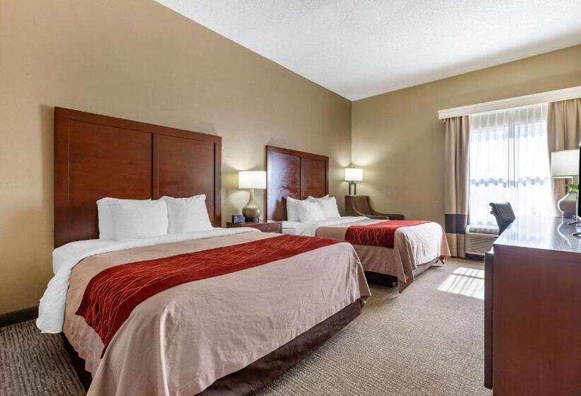 장애인을 위한 스탠다드 룸, Comfort Inn Blythewood  North Columbia
