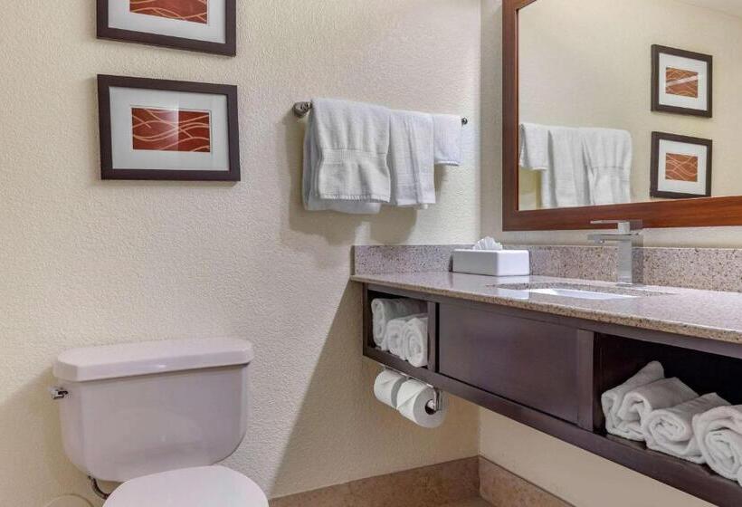 Стандартный Номер Кровать Кинг, Comfort Inn & Suites Lake Norman