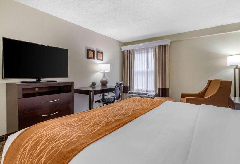 Стандартный Номер Кровать Кинг, Comfort Inn & Suites Lake Norman
