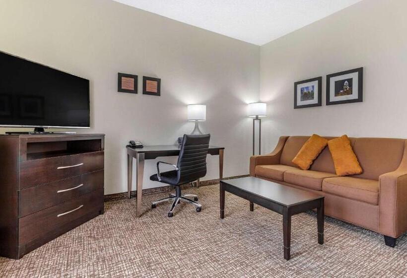Стандартный Номер Кровать Кинг, Comfort Inn & Suites Lake Norman