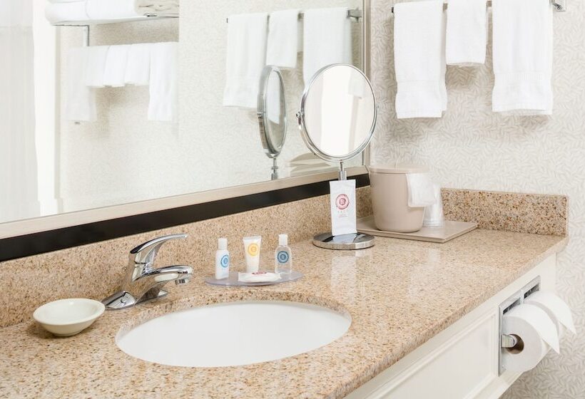 Люкс Адаптированный для Инвалидов, Comfort Inn & Suites Near Burke Mountain