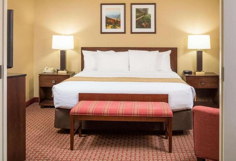 Стандартный Номер Кровать Кинг, Comfort Inn & Suites Near Burke Mountain