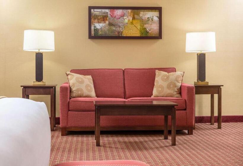 Номер Стандарт, Comfort Inn & Suites Near Burke Mountain