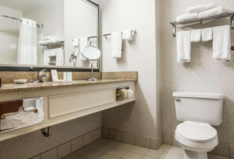 Номер Стандарт Кровать Кинг Адаптированный для Инвалидов, Comfort Inn & Suites Near Burke Mountain