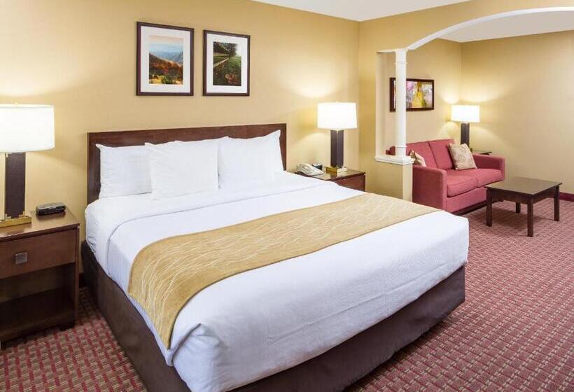 Quarto Estandar Cama King para Deficientes Físicos, Comfort Inn & Suites Near Burke Mountain