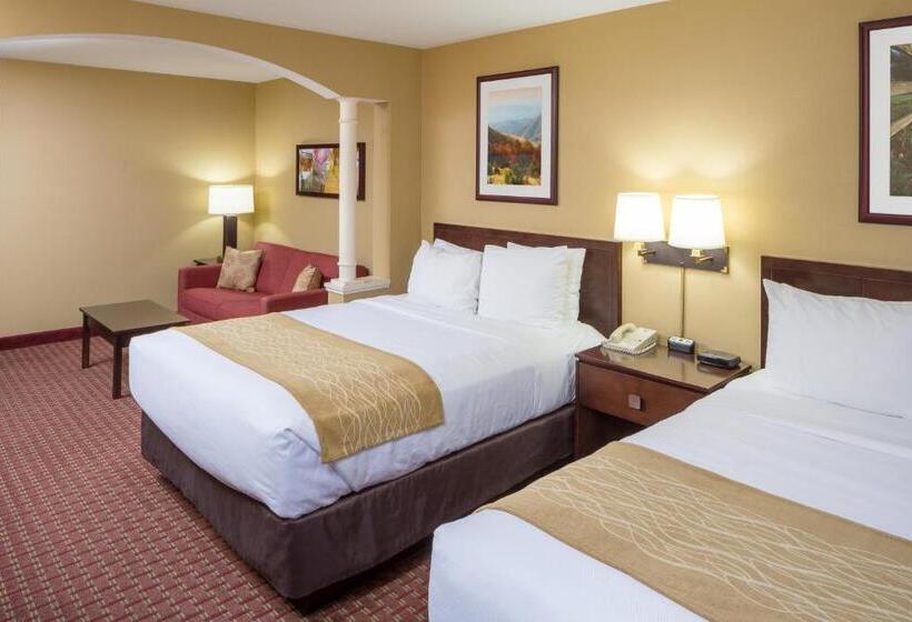 Quarto Estandar para Deficientes Físicos, Comfort Inn & Suites Near Burke Mountain
