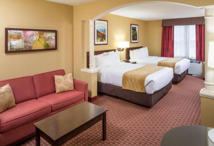 Номер Стандарт Адаптированный для Инвалидов, Comfort Inn & Suites Near Burke Mountain