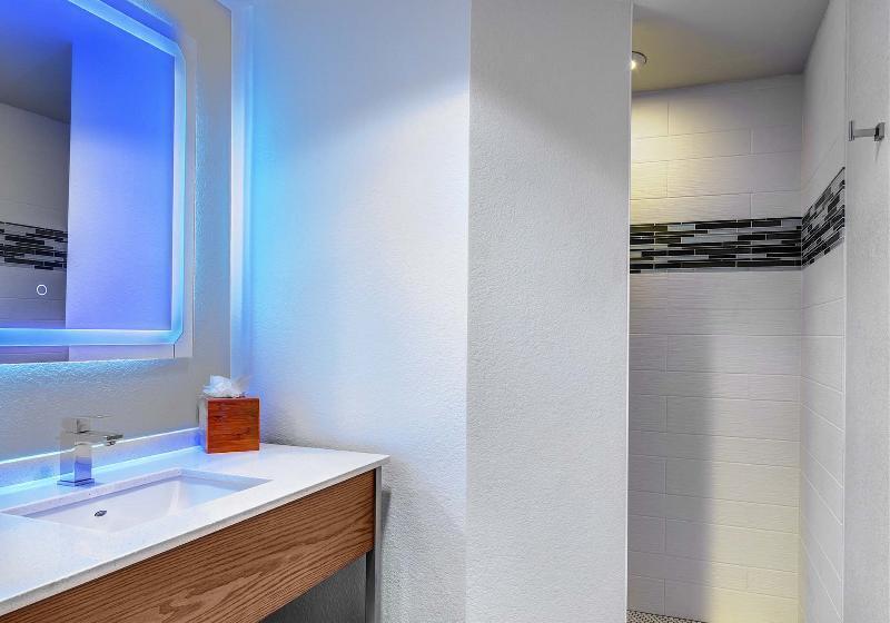 Номер Deluxe, Even Hotels Sarasota Lakewood Ranch, An Ihg