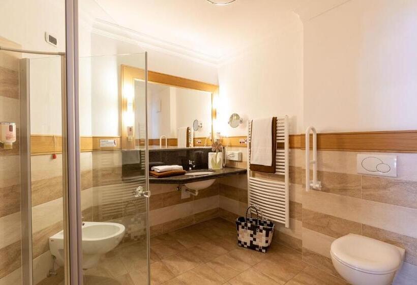 Номер Стандарт, Aktiv & Wellnesshotel Zentral
