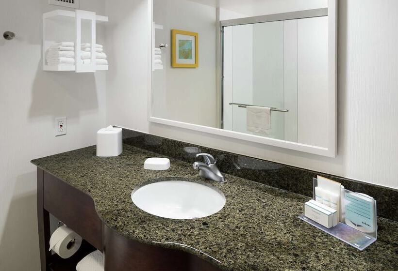 Camera Standard Letto Matrimoniale, Hampton Inn & Suites Memphis Beale Street
