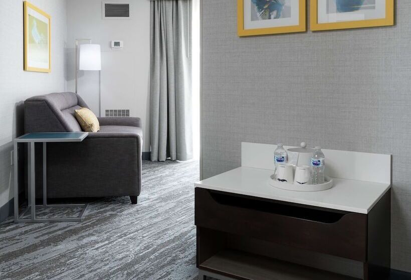 Camera Standard Letto Matrimoniale, Hampton Inn & Suites Memphis Beale Street