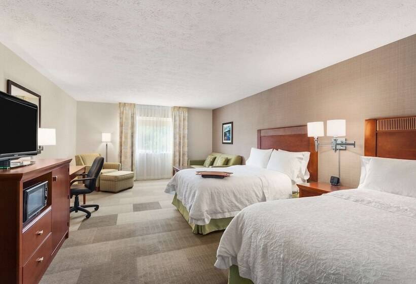 Номер Стандарт 2 Двуспальные Кровати, Hampton Inn Colchester