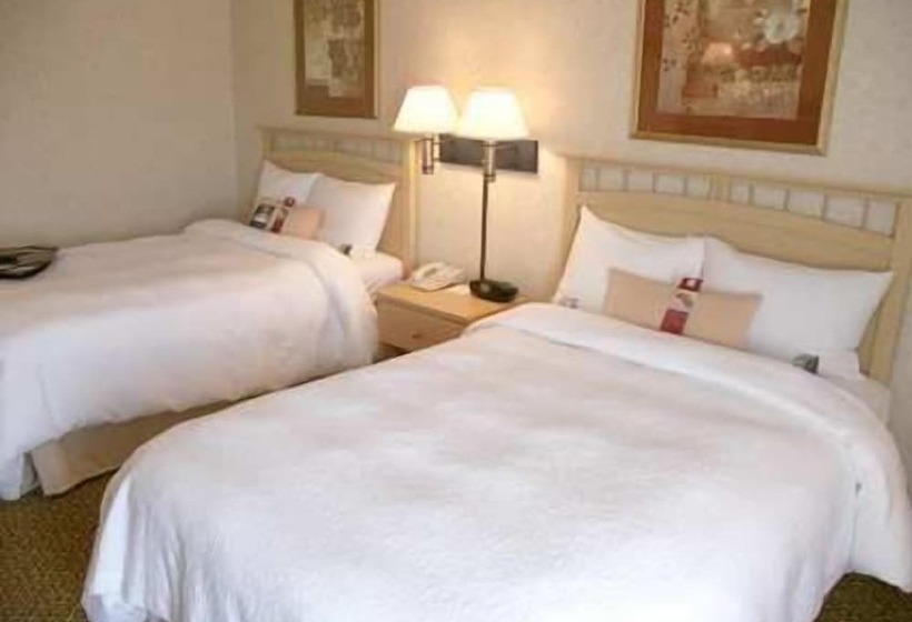 스탠다드 룸 더블 침대 2개, Hampton Inn Dublin