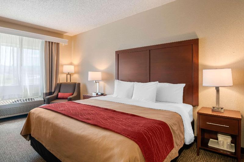 스탠다드 룸, Hampton Inn East Lansing