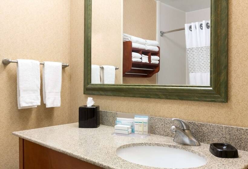 Номер Стандарт, Hampton Inn Houstonwillowbrook Mall