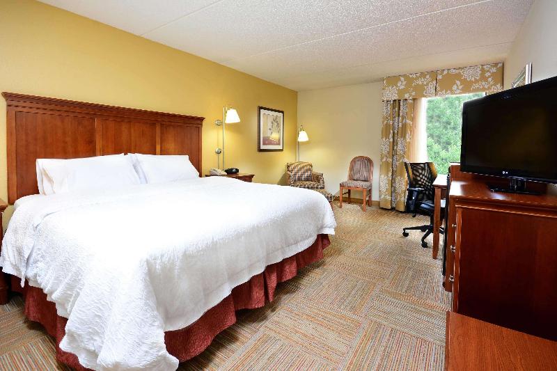 اتاق استاندارد با تخت بزرگ, Hampton Inn Raleigh Capital Blvd. North