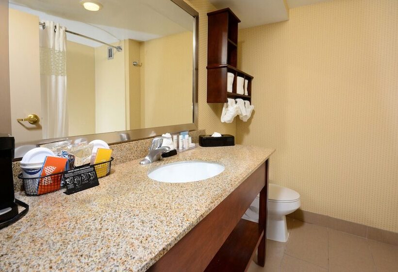 اتاق استاندارد با تخت بزرگ, Hampton Inn Raleigh Capital Blvd. North
