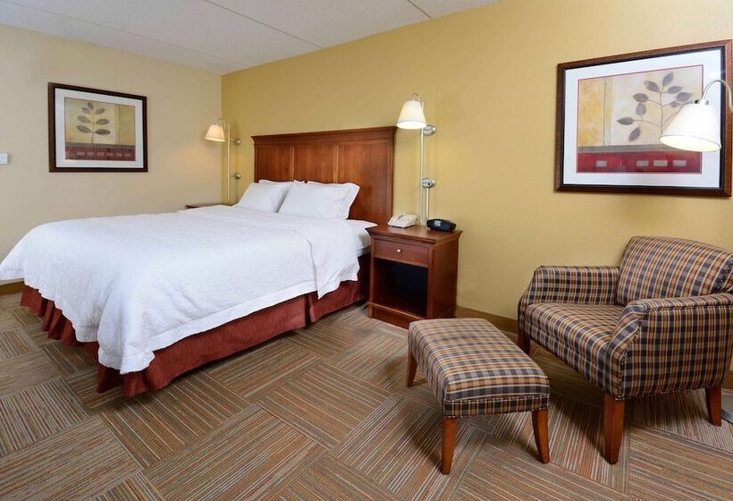 اتاق استاندارد با تخت بزرگ, Hampton Inn Raleigh Capital Blvd. North