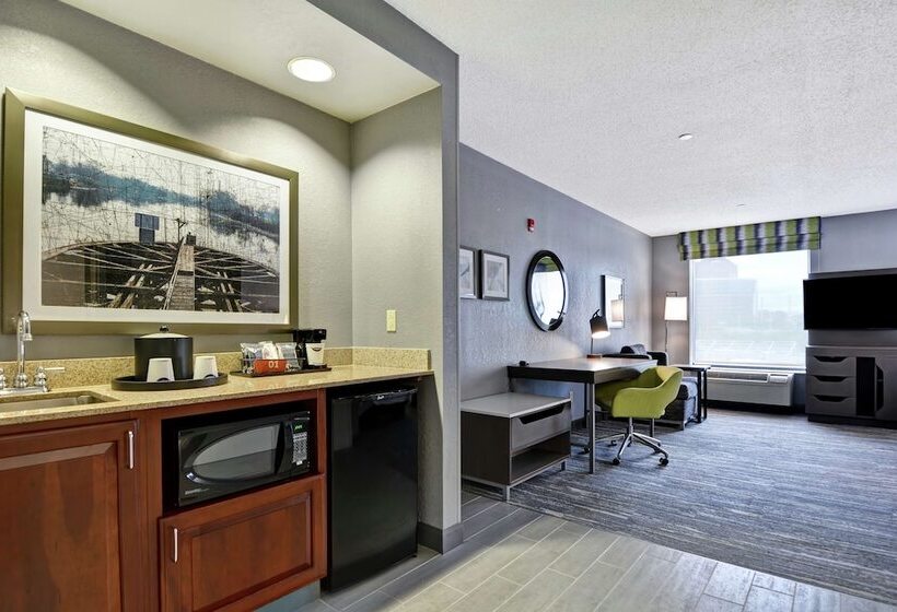전망 스위트, Hampton Inn & Suites Newark Harrison Riverwalk