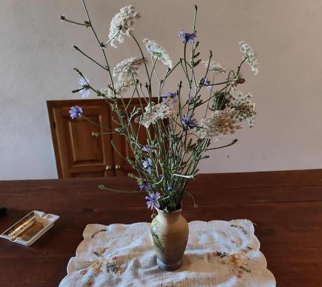 Апартаменты 2 Спальни, Agriturismo Podere Chiassaie