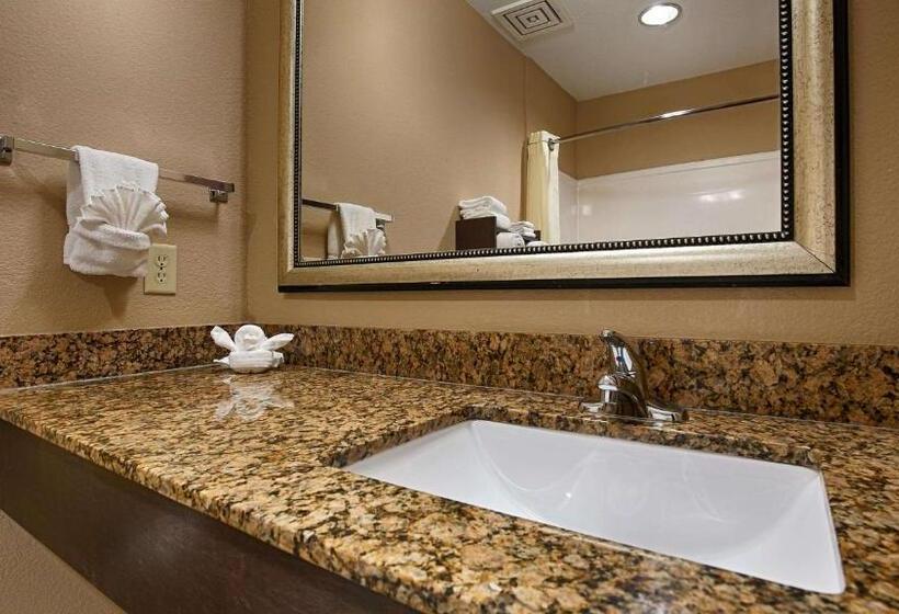 스위트 킹사이즈 침대, Best Western Bayou Inn And Suites