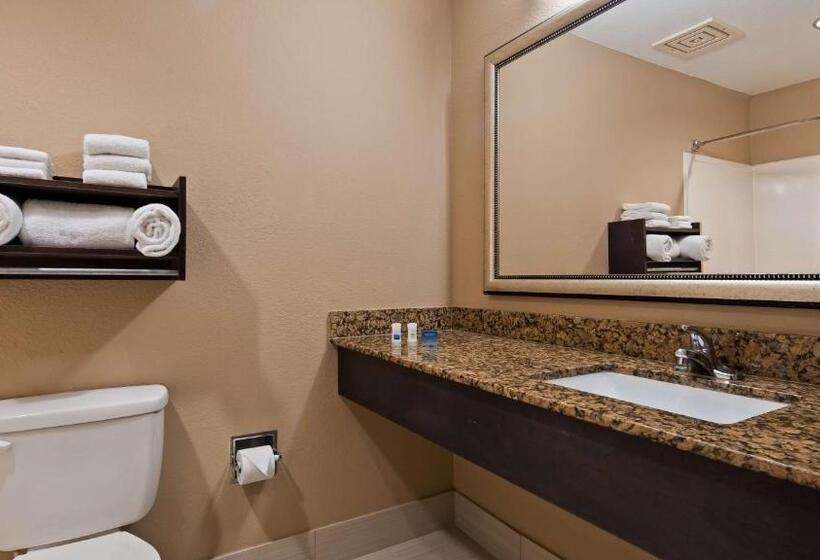 장애인을 위한 킹사이즈 침대 스탠다드 룸, Best Western Bayou Inn And Suites