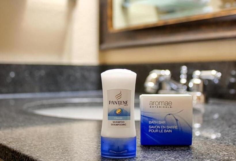 장애인을 위한 스위트, Best Western Bayou Inn And Suites