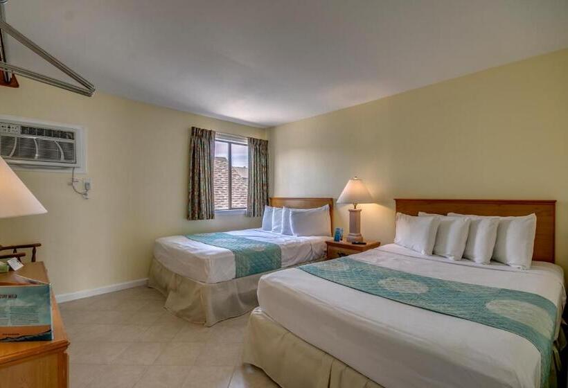 Люкс, Daytona Inn And Suites