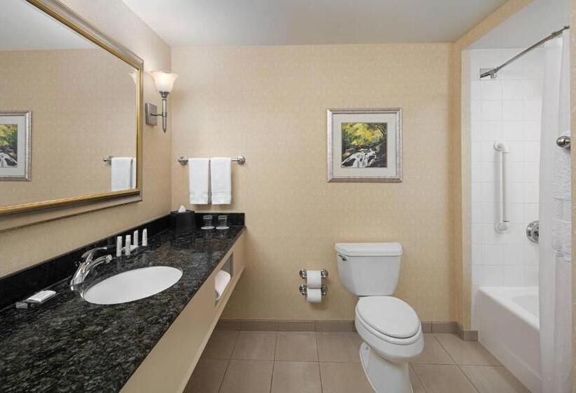 غرفة قياسية سرير كينج, Spartanburg Marriott