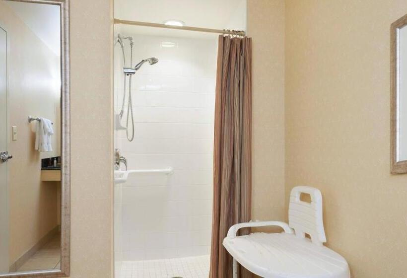 キングサイズベッドのスタンダードルーム, Spartanburg Marriott