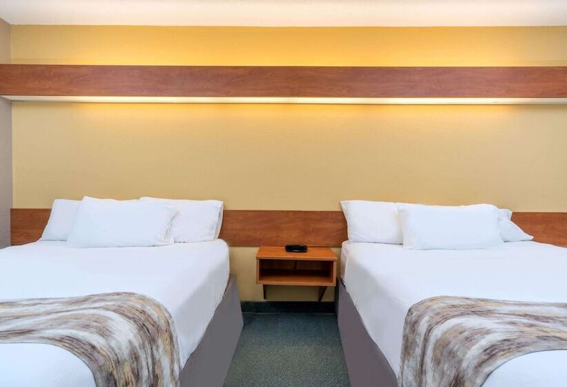 Номер Стандарт Адаптированный для Инвалидов, Microtel Inn & Suites By Wyndham New Ulm